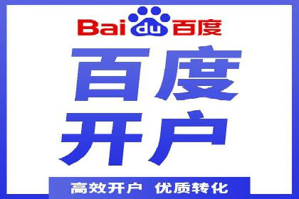百度竞价排名策略解析：一家公司的广告投放策略全揭秘
